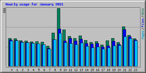 Hourly usage for January 2021