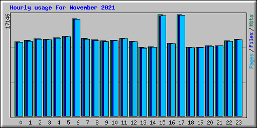 Hourly usage for November 2021