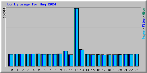 Hourly usage for May 2024