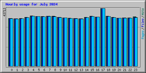 Hourly usage for July 2024