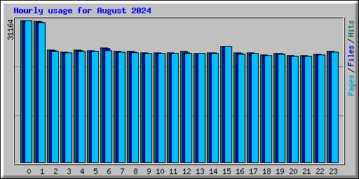 Hourly usage for August 2024