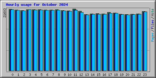 Hourly usage for October 2024