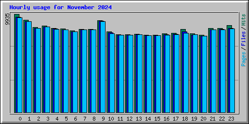 Hourly usage for November 2024