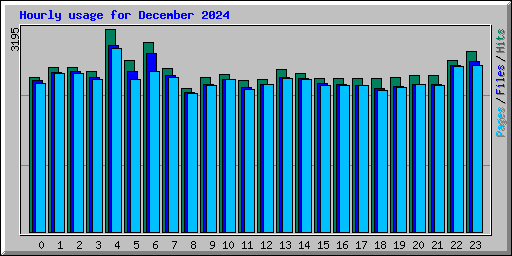 Hourly usage for December 2024