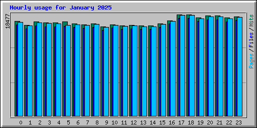 Hourly usage for January 2025