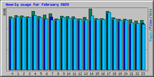 Hourly usage for February 2025