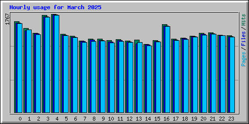 Hourly usage for March 2025