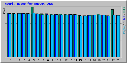 Hourly usage for August 2025