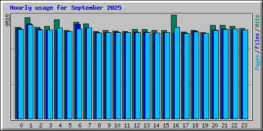 Hourly usage for September 2025