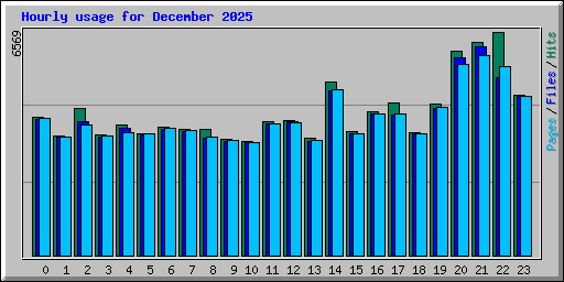 Hourly usage for December 2025