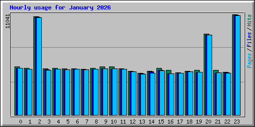 Hourly usage for January 2026